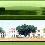 North Orissa University